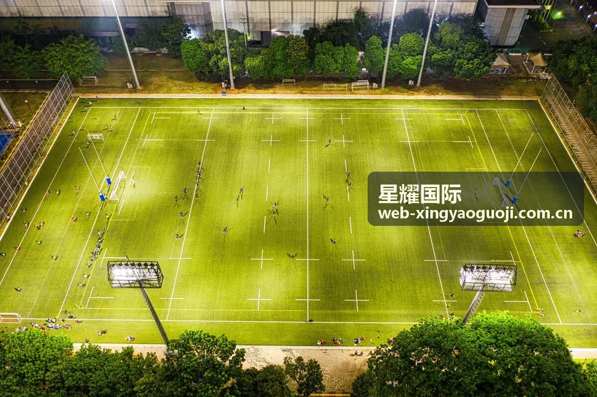 星耀国际科技企业跨境投资合规服务